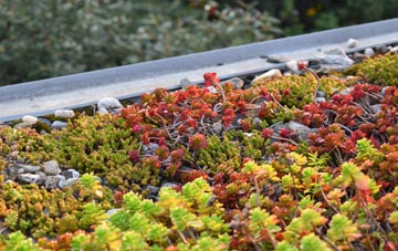the cost of Cashmoor green roof installation