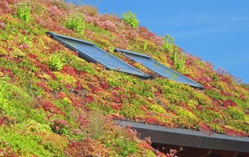 Cashmoor living roof systems