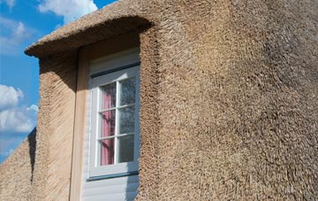 Cashmoor thatch roof disadvantages