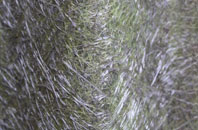 Cashmoor fibreglass roof work